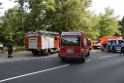 Waldbrand Koeln Hoehenhaus Hoehenfelder Mauspfad P011